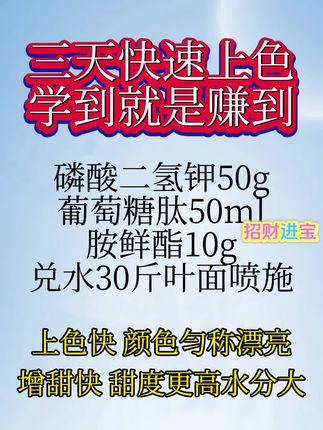 #转色增甜 #转色#膨果增甜 #膨果#膨果增甜防裂果 #膨果肥 #上色