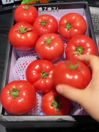 #番茄🍅 每一个都是沙瓤带籽的!酸酸甜甜超好吃 还是小时候西红柿那个味道。#解馋 #水果西红柿#普罗旺斯水果西红柿 #老式飘西红柿 #太好吃了