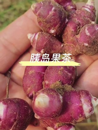 #好吃到停不下来 #强烈推荐 #快来一起尝个鲜 #好物推荐🔥