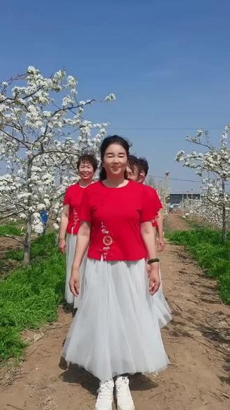 文昌湖老韩梨花节,欢迎你