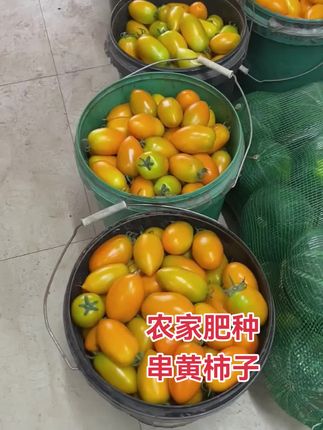 #串黄柿子