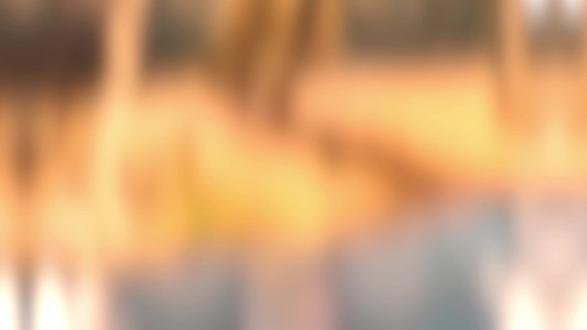 要是小行星撞地球的话,你觉得人类能撑几天?科学模拟告诉你答案#自然知识科普 #创作者中心 #创作灵感 #每天分享科普知识 #深度解说