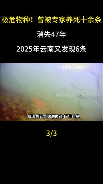 极危物种!曾被专家养死十余条,消失47年,2025年云南又发现6条