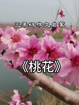 三(下)第一单元作文