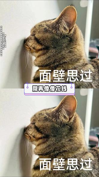 汽水音乐任性畅听海量曲目 #汽水音乐 #听歌赚金币 #好听 #热歌推荐 #HYQ#LXY