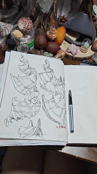 这个螺好神秘
#手稿记录 #绘画笔记 #日常手稿分享 #手绘制作过程 #手绘笔记