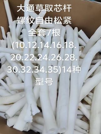 大通草取芯杆卖断货了!#大通草 #大通草种植 #大通草取芯