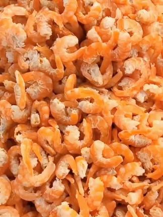 金钩海米 品质海捕虾米烘干淡干营养干货虾仁虾皮250/500g饱满
