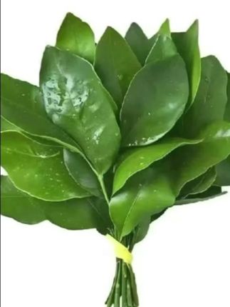 #剧情#血浓于水#情感