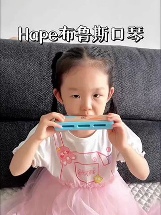 Hape儿童口琴布鲁斯顺音阶吹奏音乐初学入门乐器益智玩具3岁E8742#好物推荐🔥