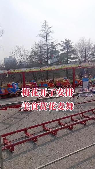 梅花开了,美食赏花麦舞卡木昂!
瞅瞅挺好啊,老铁们都去赏花了没,还没盛开,跟我一起走一波!麦舞麦舞麦舞卡木昂,北鼻来次够!#梅花 #赏花听歌美景如画 @抖音小助手