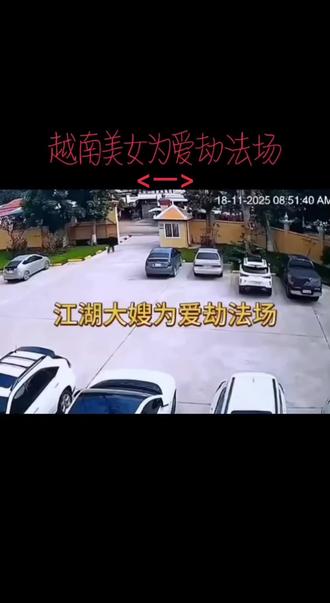 越南美女法院门口成功劫走男朋友与其他5人。