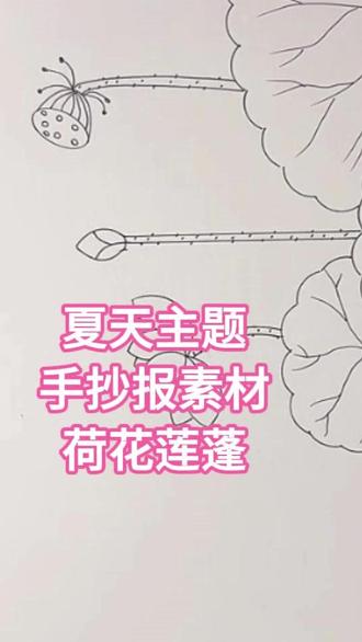 绽放的荷花小荷才露尖尖角莲蓬30秒一次性搞定 绽放的荷花小荷才露尖尖角莲蓬30秒一次性搞定#手抄报模板 #手抄报教程 #手抄报线稿
