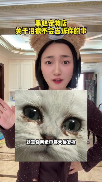 毛孩子眼睛分泌物多真的要从源头去改善才能更有效果#科学养宠#猫咪泪痕#新手养猫#养猫经验分享 #养猫用品推荐