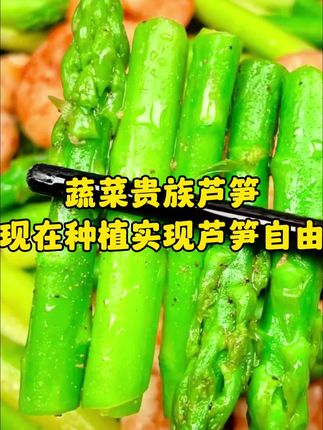 实现芦笋自由 从一颗小苗到“蔬菜之王”的成长路,芦笋营养价值高,产量高,快来种植试试吧@芦笋专家_于继庆 #种植小技巧 #芦笋种植 #种植技术 #芦笋加金蝉 #芦笋苗