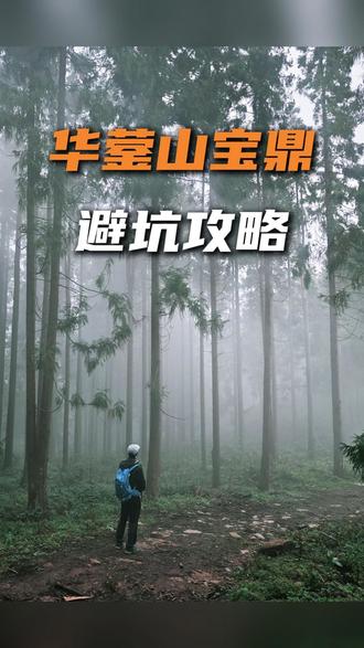 华蓥山宝鼎徒步,一半攻略,一半避坑 #重庆旅游 #重庆周边游 #户外 #徒步路线推荐 #周末去哪儿
