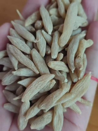 #麦冬 #麦冬煲汤