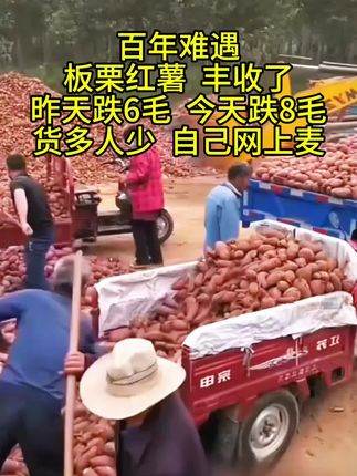 #抖音助农 #优质农产品 #快来一起尝个鲜 #红薯
