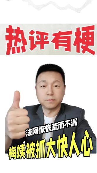 刚刚,梅姨被抓,全网沸腾!#人贩子梅姨#法网恢恢#人间观察计划 #梅姨 #解救被拐儿童