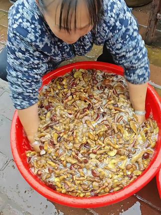 黑龙江大兴安岭野生粘土,而蘑菇焯水,盐腌发货,一袋1斤