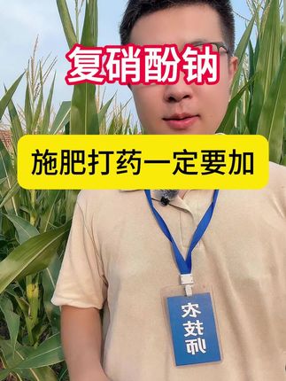 复硝酚钠水剂 施肥打药加上复硝酚钠,效果出乎意料#农业种植 #复硝酚钠 #增产增收才是硬道理 #农资肥料 #植物生长调节剂