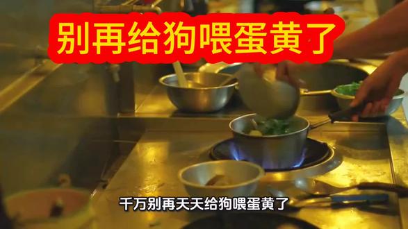 #上热门 #科学养宠 #宠物知识#养宠小技巧 #