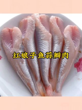 连云港精选现扒三去红娘子鱼蒜瓣肉刺少肉多去头去皮去内脏顺丰#好吃推荐 #好吃推荐分享 #红娘子鱼