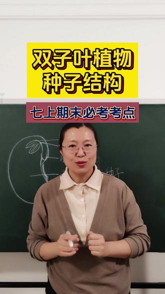 种子结构你记住了吗?期末考,七下还要接着学#宝藏作者激励计划 #初中生物 #生物知识 #期末 #寒假