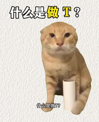 什么是做T?#科普 #猫meme #理财