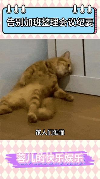 自动整理会议待办,跟进不踩坑 #豆包app #录音纪要