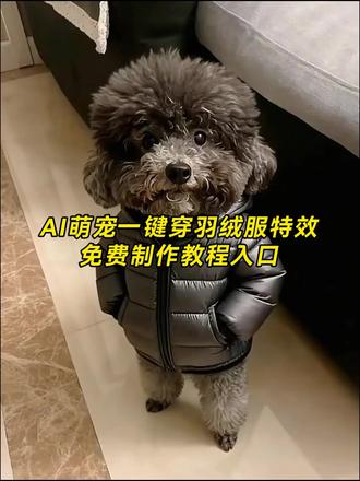 这个超好玩的AI萌宠一键穿羽绒服特效教程来咯!! #即梦ai #ai萌宠一键穿羽绒服特效教程 #天冷了给家里小动物穿件羽绒服 #ai萌宠一键穿羽绒服 #ai萌宠穿羽绒服教程 AI萌宠一键穿羽绒服 ai萌宠穿羽绒服 宠物狗保暖外套 天冷了给家里小动物穿件羽绒服 天冷了给家里小动物穿件羽绒服教程 给小动物穿羽绒服教程 天冷了给家里小动物穿件羽绒服剪映 小动物羽绒服 天冷了给家里小动物穿件羽绒服ai特效教程 天冷了给家里小动物穿件羽绒服豆包口令 天冷了给家里小动物穿件羽绒服豆包特效教程 天冷了该给宠物们穿棉衣了 ai萌宠一键穿羽绒服制作教程 ai萌宠穿羽绒服 ai萌宠一键穿羽绒服特效 ai萌宠一键穿羽绒服怎么弄 ai萌宠一键穿羽绒服在哪生成 ai萌宠一键穿羽绒服入口 ai萌宠一键穿羽绒服特效在哪拍 ai萌宠一键穿羽绒服特效教程 ai萌宠一键穿羽绒服软件推荐 狗狗羽绒服 宠物狗加厚羽绒服 泰迪搞怪衣服秋冬款 萌宠穿羽绒服图片 乌龟羽绒服 萌宠羽绒服 萌宠羽绒服ai特效 萌宠穿羽绒服特效教程 萌宠一键穿羽绒服入口 萌宠羽绒服特效制作 ai萌宠一键羽绒服特效 萌宠穿羽绒服特效 狗狗穿羽绒服ai制作 给动物穿羽绒服特效教程 宠物穿羽绒服ai指令教程 给动物穿羽绒服ai 天冷了给家里宠物都穿上衣服