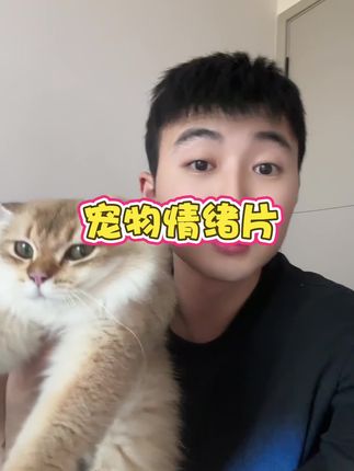 并不是每只猫咪都适合绝育。。#科学养宠攻略 #养猫新手 #新手养宠