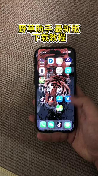 《鸿鑫宝库》野草助手app最新版本苹果安卓下载教程来了#野草助手 #野草助手口令 #野草助手怎么下载 #野草助手下载教程 #电视投屏