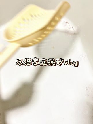双猫家庭换砂vlog~#记录真实日常生活 #霍曼木薯猫砂 #猫咪日常 #哈基米 #新手养猫