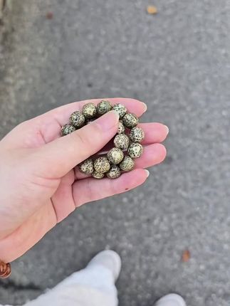 #菩提手串 #星月菩提 #越盘越上头的奇怪玩意儿