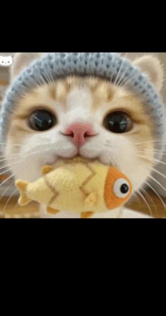 #抽象 封面已改,快去骚扰你的好友吧😜