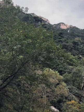 #爬山 #户外登山