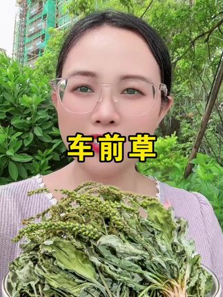 #车前草 #车前草茶 #车前草的妙用 #农产品 #农家产品