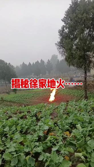 去年,当地居民打井至50米深度时,意外发现石油并引发地火,随后相关人员对该井进行了填埋处理。不料今年此地再次发生自燃,足以证明该区域蕴藏着充足的石油资源。#起火