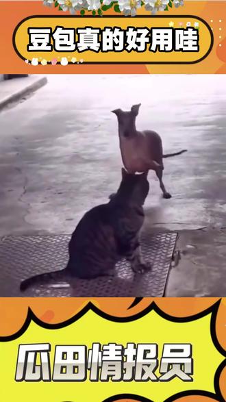 豆包健身真好用 #豆包app #健身