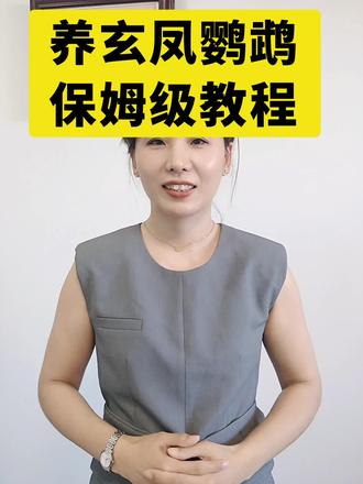 养玄凤 #玄凤鹦鹉#养鹦鹉#鹦鹉养殖 #鹦鹉养殖技术