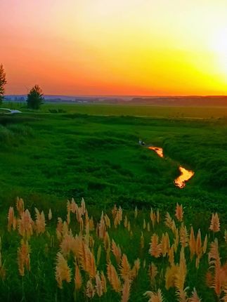 #落日余晖映晚霞一抹夕阳美如画 #自然风光 #落日晚霞 水退后的黄河冯佐渡口,瞬间变成了一望无际的草原,夕阳西下,风景如画