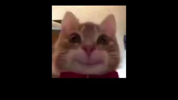 粤A事业编已上岸,浅浅说一下难度
#广东事考 #广东事业编 #事业编 #事业编网课 #尤齐广东事考