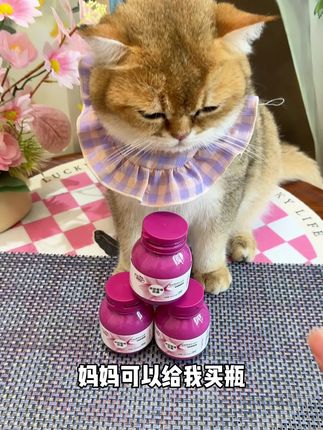 夏季猫咪不喝水容易闭闭的高发期又到了,听我一句,我养了十几只猫,经历过猫猫嘘嘘不好,去了宠物店花了大几千才弄好的教训,现在的我都会提前喂这款嘘嘘片,真的有用,至少不用强迫猫咪喝水,也不用担心闭闭的问题了#萌宠 #宠物猫咪 #宠物用品 #萌宠好物