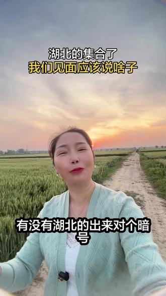 你是湖北的吗?快出来对个暗号,我们岀来说的是啥子?#湖北 #襄阳 #暗号暗号 #田间地头走一走