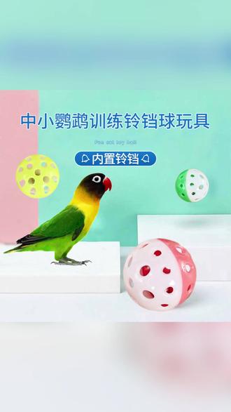 球 会响会咬,鸟界新宠! # #萌宠日常 #宠物解闷神器 #小鸟 #养鸟必备