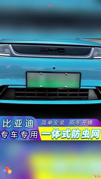 汽车防虫网 比亚迪海豚海豹秦唐宋汉元plus海狮06智驾前档防虫网进气口防护网#汽车用品 #智驾防护 #比亚迪车型 #汽车防虫网 #比亚迪配件
