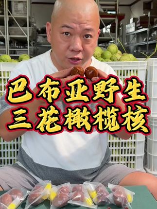 巴布亚纯野生三花橄榄核手球 巴布亚新几内亚野生橄榄核手球#橄榄核 #橄榄核手球 #橄榄核雕纯手工 #文玩手串 #强烈推荐