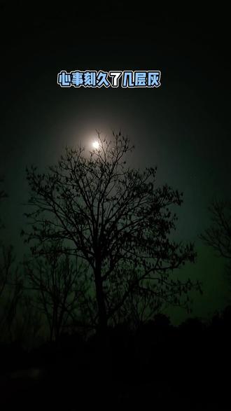 奔四的我,突然有点顿悟了,看到同龄人,有人离异,有人儿女双全,有人整日游山玩水,有人患病渡劫中,有人飞黄腾达也有人失业在家,人生的意义到底为何?走过半生才明白,来这世上,非我们所愿;离开之时,亦非我们能留。中间这段不长不短的时光,怎么活?随心吧!是啊,人这一辈子,真不容易。酸甜苦辣尝遍,悲欢离合经历,该扛的扛,该放的放。最厉害的本事是什么?是在薄情的世界里,深情地活着。人生不是比谁风光,而是比谁活得长,活得透,活得自在。执着太多,苦的是自己:一念放下,心才真正轻盈算算人生不过三万天,借副身体走一遭,空空来,空空去。何必事事较真?百年之后,谁还记得谁?我们都是过客,尽力了,就随缘吧,心自在最要紧。除了健康这副皮囊是自己的,其他都是暂时保管。世上哪有什么永恒不变?拥有时,拼尽全力珍惜;失去了,也别久久遗憾。几十年光阴,快得像一阵烟。心向着阳光,就不怕风雨;人向着温暖,清风自然来。多少你现在辗转反侧的事,多年后回看,不过一缕青烟。时间,是最好的疗愈师。来人间一趟,不必总想着光芒万丈。违心无愧于心即可!#夜景#到此为止吧