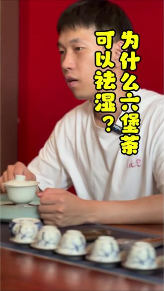 六堡茶为什么可以祛湿? #六堡茶祛湿 #六堡茶的功效 #广西六堡茶 #梧州六堡茶 #卖茶叶的小陈